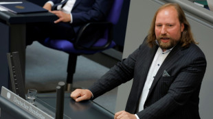 Hofreiter nennt AfD "&uuml;berwiegend eine Truppe von Landesverr&auml;tern"