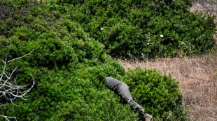 Concluyen pesquisas en el caso Maddie en el sur de Portugal