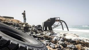 Pa&iacute;ses piden nueva reuni&oacute;n sobre biodiversidad en Nairobi antes de cita de la ONU