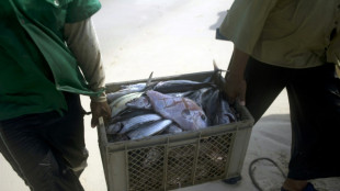 CIJ rejeita reivindica&ccedil;&otilde;es da Nicar&aacute;gua em disputa mar&iacute;tima contra a Col&ocirc;mbia