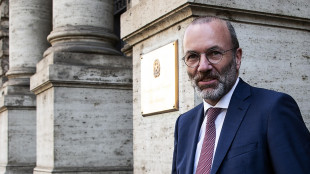 Weber, 'mantenute promesse, sar&agrave; una commissione del Ppe'