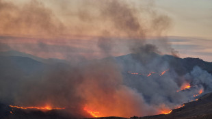 In Grecia continua la lotta contro molteplici incendi