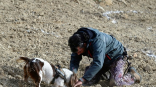 La trufa negra cae como una bendici&oacute;n en una parte olvidada de Espa&ntilde;a