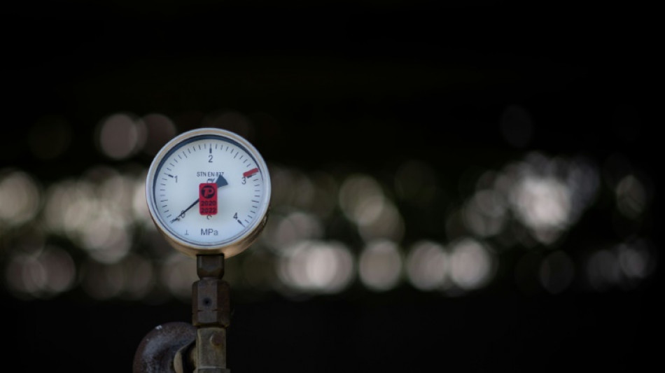 Suspension des livraisons de gaz russe au Danemark &agrave; partir du 1er juin (groupe &eacute;nerg&eacute;tique danois)