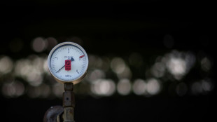 Unternehmen: Russische &Ouml;l-Lieferungen durch Ukraine wegen Sanktionen eingestellt