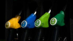 Les prix &agrave; la pompe repartent &agrave; la hausse en France