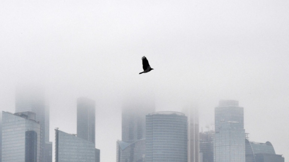 Wirtschaft f&uuml;rchtet Belastung durch Sanktionspolitik - und sagt Unterst&uuml;tzung zu