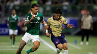 Palmeiras vence Cerro Porte&ntilde;o (1-0) e &eacute; l&iacute;der isolado do Grupo G da Libertadores
