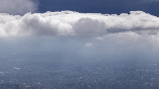 Piogge in Nepal e India, almeno 63 le vittime