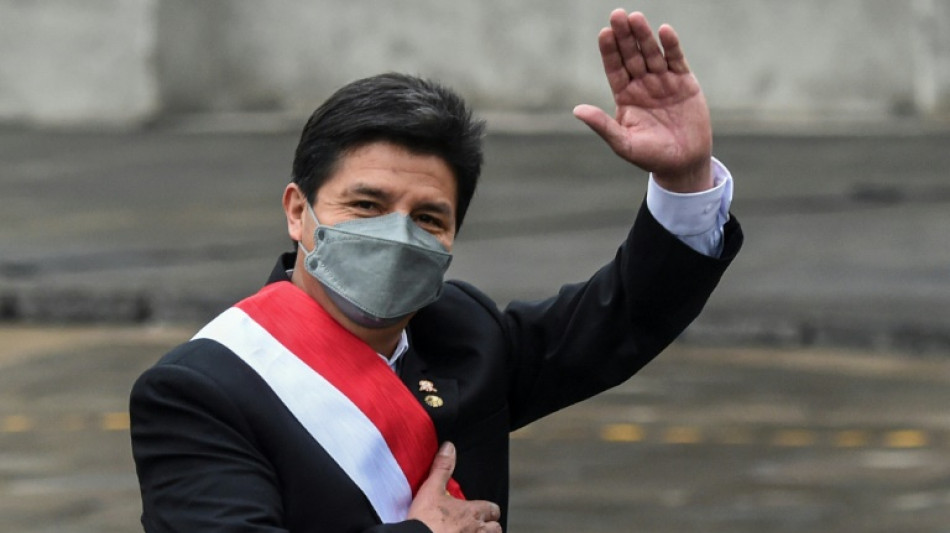 Castillo defiende su gesti&oacute;n y denuncia campa&ntilde;a en Per&uacute; para destituirlo