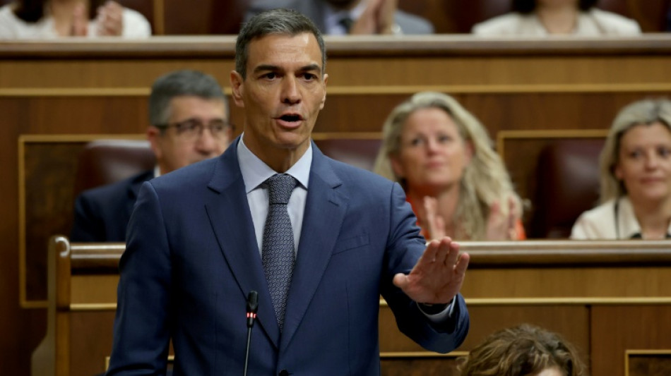 S&aacute;nchez descarta que el Partido Socialista espa&ntilde;ol se financiara con la presunta trama corrupta