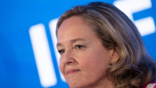 La guerra en Ucrania, el factor "m&aacute;s importante" que frena el crecimiento (comit&eacute; FMI)