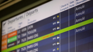 Gr&egrave;ve importante jeudi du contr&ocirc;le a&eacute;rien en France, et menaces sur le pont de l'Ascension