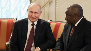 Russia's Putin will not attend BRICS summit: S.Africa