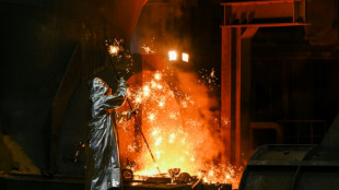 "Deutlich bessere Arbeitsbedingungen": B&ouml;ckler-Stiftung wirbt f&uuml;r Tarifbindung