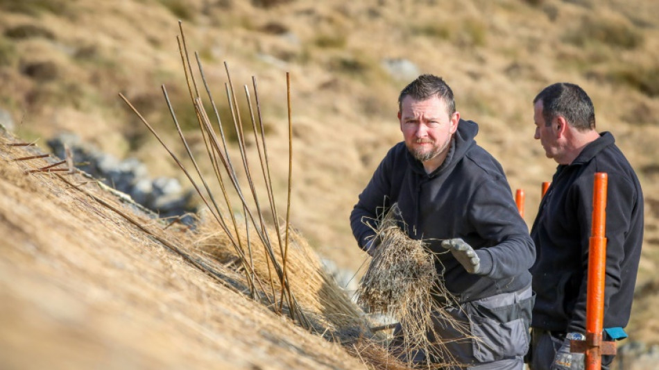 En Irlande, une école pour préserver la tradition des toits de chaume