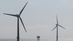 Gericht stoppt Verlegung von Seekabel zu Gasförderplattform vor Borkum