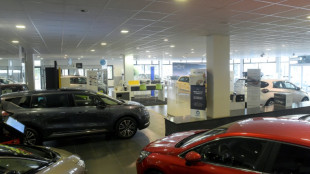 Voitures neuves : 13e mois de baisse pour le march&eacute; fran&ccedil;ais