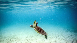 Planetary health check warns risk of 'destabilising' Earth systems