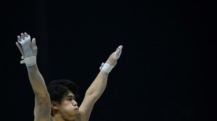 Gym: apr&egrave;s l'or olympique, Hashimoto s'offre la couronne mondiale du concours g&eacute;n&eacute;ral