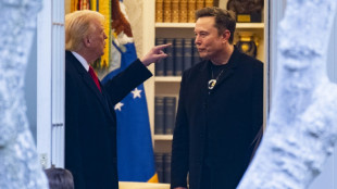 Musk se siente "decepcionado" con el proyecto de ley presupuestaria de Trump