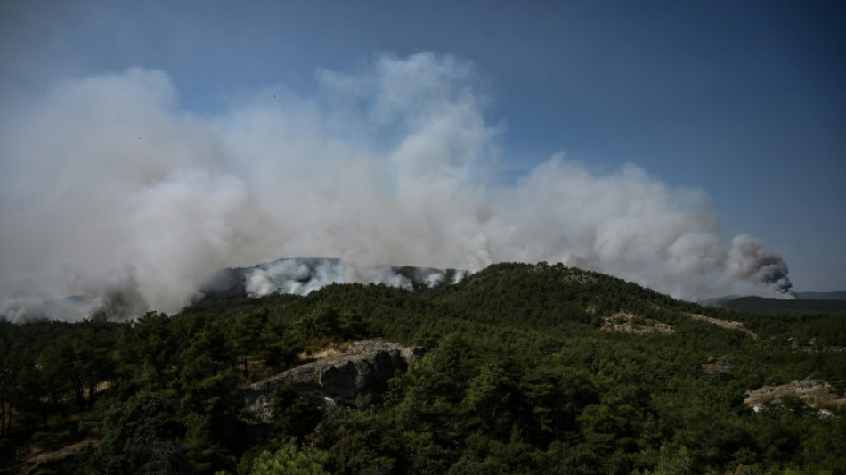 Greece blaze is 'largest wildfire ever recorded in EU'