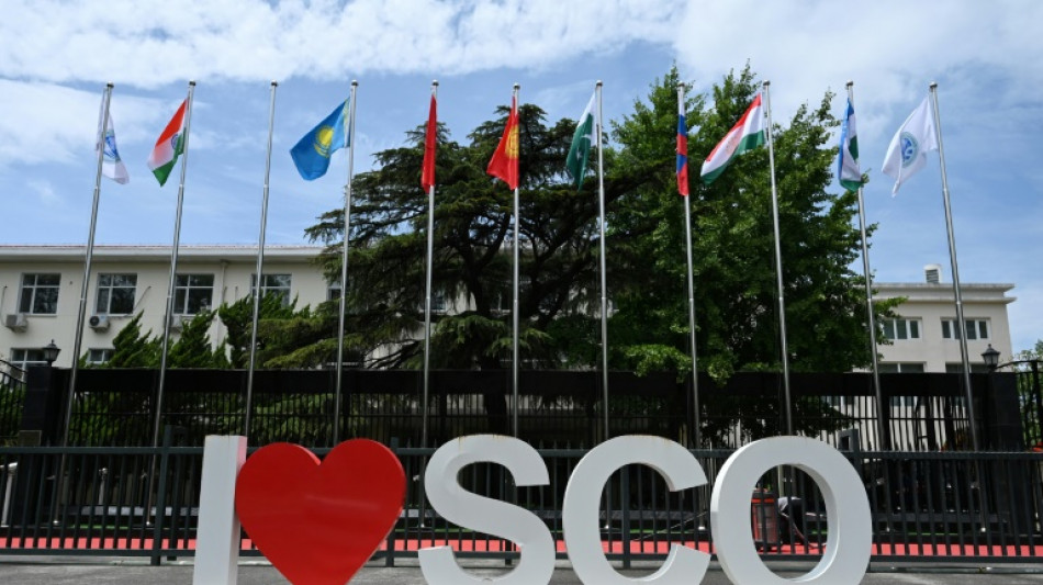 Presidente da China pede esfor&ccedil;os para 'preservar a paz' e contra o protecionismo