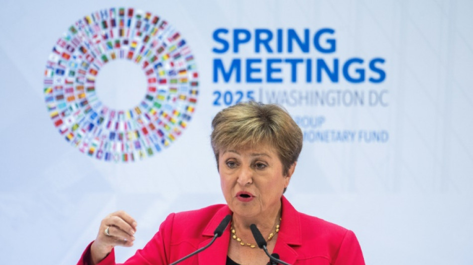 World economy likely to avoid recession despite tariffs: IMF chief