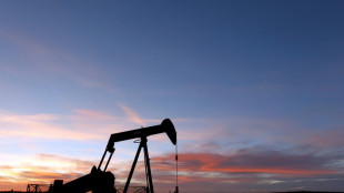 Le p&eacute;trole plonge au plus bas depuis f&eacute;vrier apr&egrave;s l'Opep+