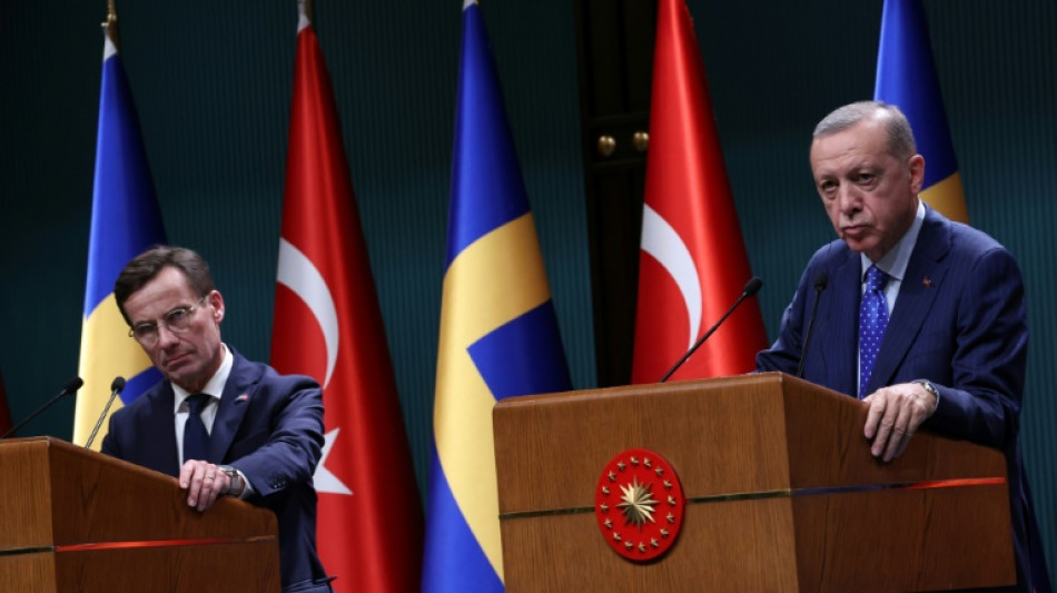 Suecia extradita a Turqu&iacute;a a un miembro condenado del PKK