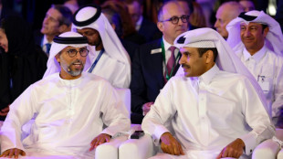 El gas ruso "volver&aacute;" a Europa, afirma ministro de Energ&iacute;a catar&iacute;