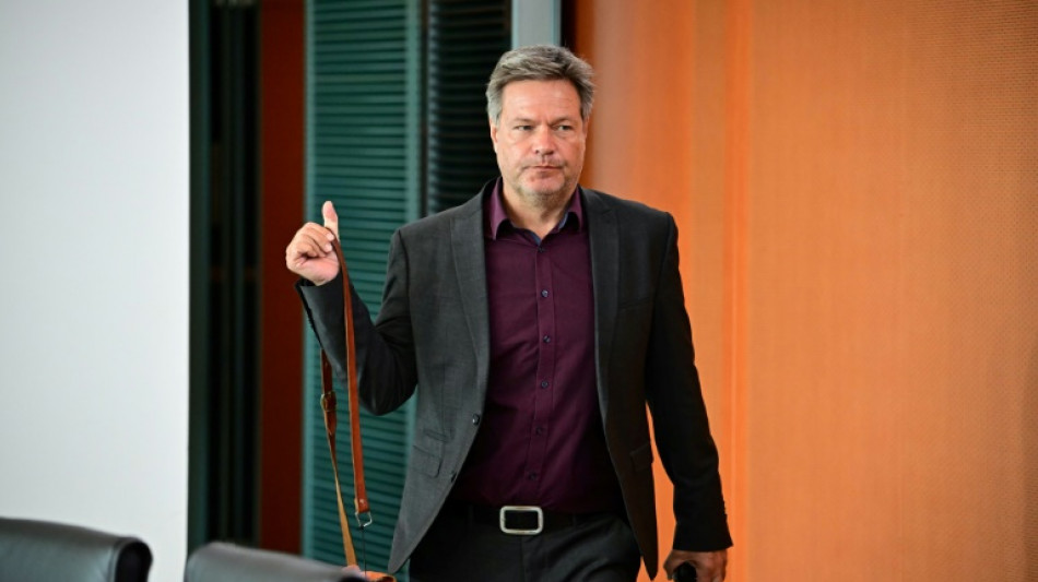 Habeck schl&auml;gt Investitionsfonds f&uuml;r Unternehmen vor