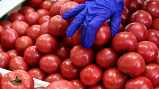 &iquest;M&aacute;s sanciones por la crisis de Ucrania para quebrar la "fortaleza rusa"?