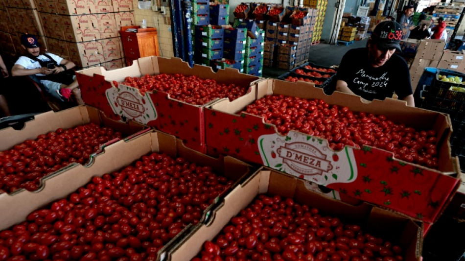 Los aranceles de EEUU a M&eacute;xico desatan una crisis in&eacute;dita entre dos socios clave