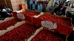 Los aranceles de EEUU a M&eacute;xico desatan una crisis in&eacute;dita entre dos socios clave