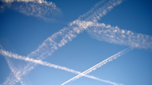 Chef von Branchenverband rechnet mit h&ouml;heren Flugpreisen