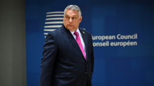 Orban begr&uuml;&szlig;t EU-Kompromiss im Streit um &Ouml;lembargo