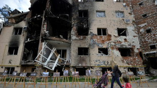 L'Ukraine suspendue au verdict sur sa candidature &agrave; l'UE