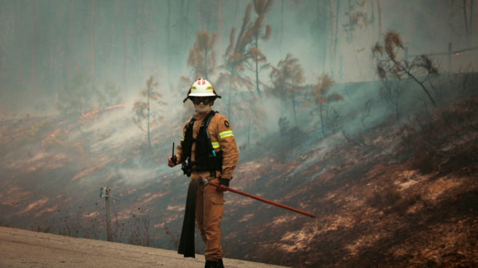 Fast 2700 Feuerwehrleute bekämpfen schwere Waldbrände in Portugal