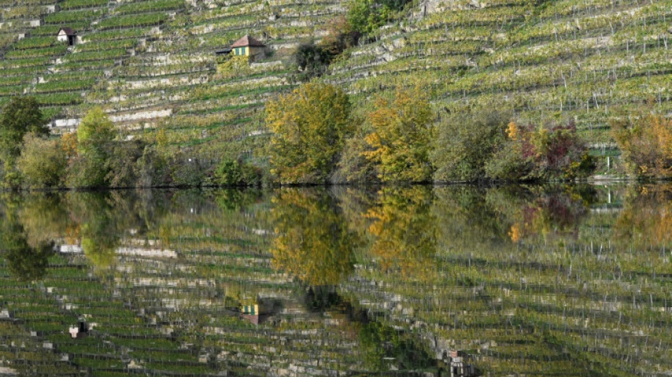 Passantin in Stuttgart rettet 14-J&auml;hrige aus Neckar