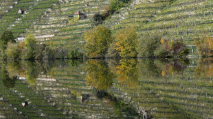 Passantin in Stuttgart rettet 14-J&auml;hrige aus Neckar