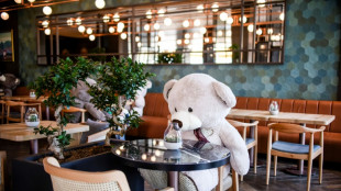 27-J&auml;hriger gelingt in Mainz mittels Teddyb&auml;r Aufkl&auml;rung von Diebstahl