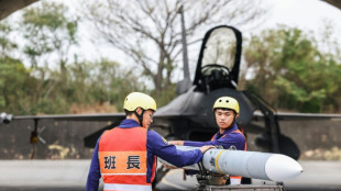 Taiwan's political standoff stalls $40 bn defence plan