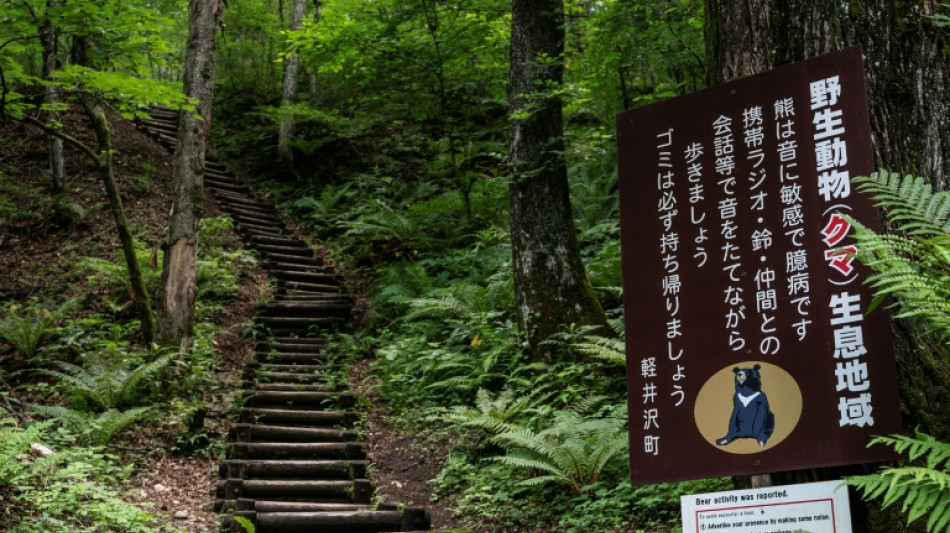 Un gobernador japon&eacute;s pide ayuda militar ante los ataques de osos