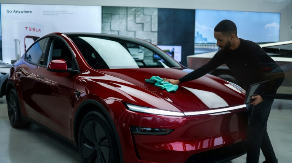 Plomb&eacute; par des ventes en chute libre en Europe, Tesla d&eacute;visse &agrave; Wall Street 