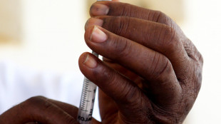 Hanno 4.000 anni le pi&ugrave; antiche tracce della malaria