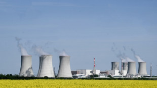Court rejects EDF complaint over Czech nuclear tender