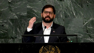 Boric insta en la ONU a enfrentar problemas con "m&aacute;s democracia"