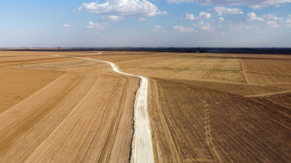 Copernicus: Vergangener Monat war zweitw&auml;rmster je gemessener Mai