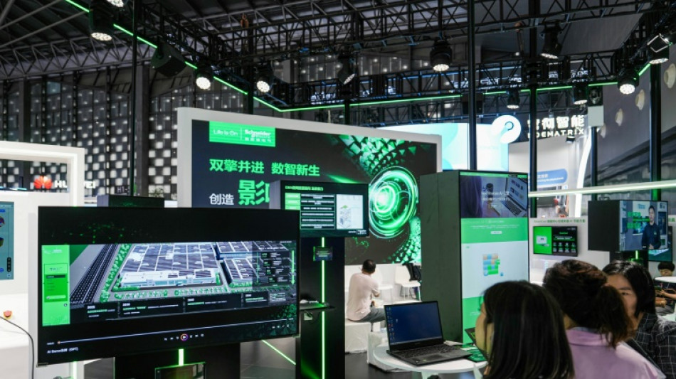 L'IA "acc&eacute;l&egrave;re la crise climatique", alerte l'experte Sasha Luccioni